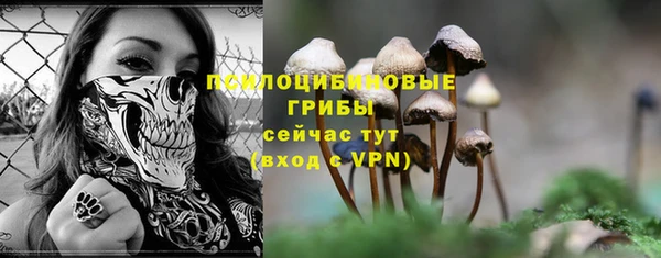 альфа пвп Новозыбков