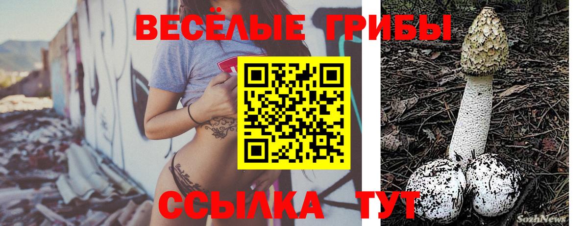 Псилоцибиновые грибы ЛСД  Лянтор 