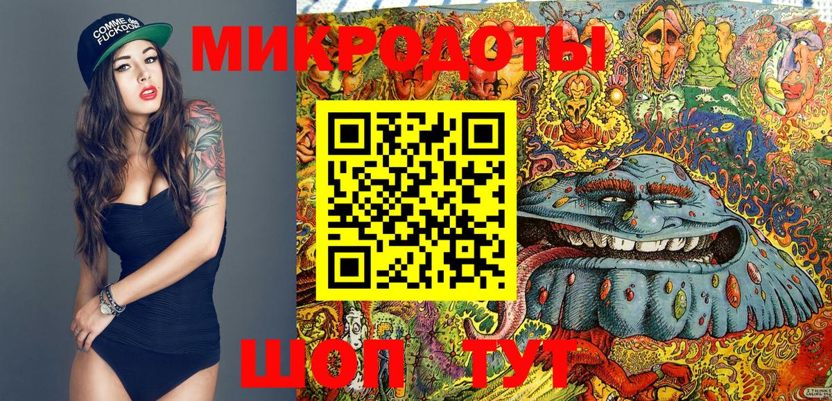Псилоцибиновые грибы Psilocybine cubensis Лянтор